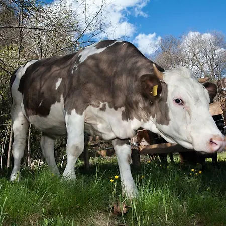 Séjour à la ferme Luloc