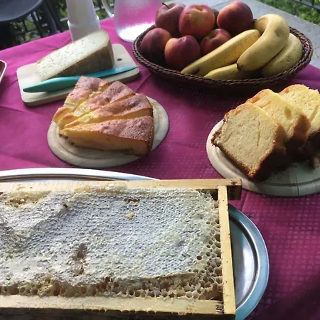Séjour à la ferme Luloc
